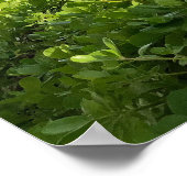 Diamond Head Sky Poster (Hoek)