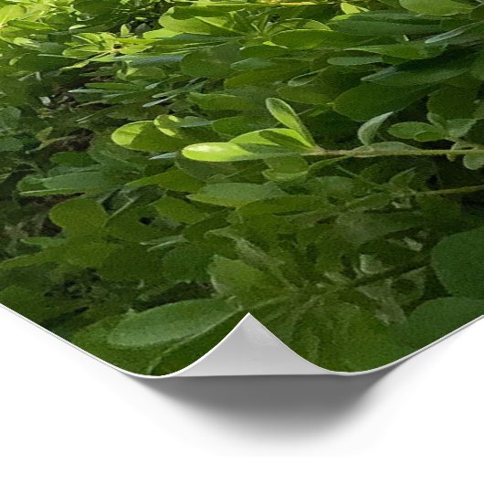 Diamond Head Sky Poster (Hoek)