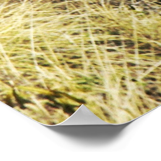 Diamond Head uitzicht Light House 3 Poster (Hoek)