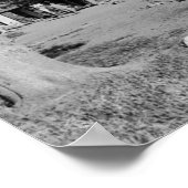 Diamond Lake, oregon Beach Swembord Foto Poster (Hoek)