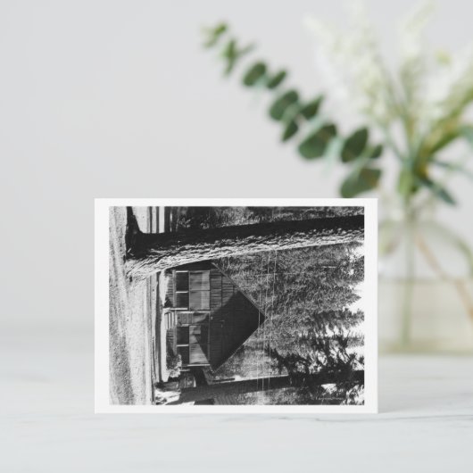 Diamond Lake, oregon Cabin Uitzicht Foto Briefkaart (Staand voorkant)