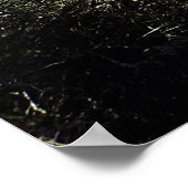 Diamond Lake, Oregon Poster (Hoek)