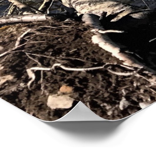 Diamond Lake, Oregon Poster (Hoek)