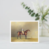 Diamond, met Dennis Fitzpatrick Up, 1799 (olie op Briefkaart (Staand voorkant)