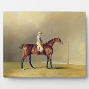 Diamond, met Dennis Fitzpatrick Up, 1799 (olie op Fotoplaat