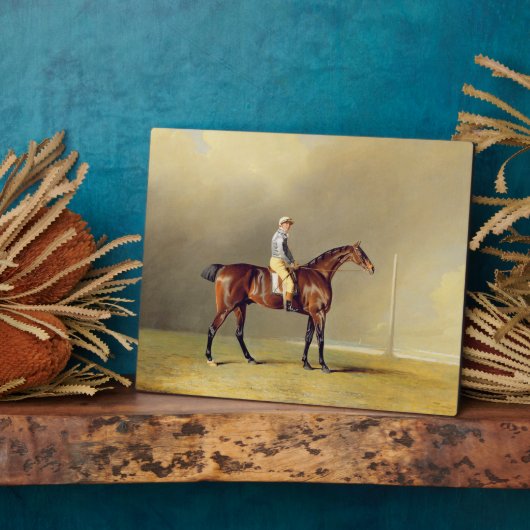 Diamond, met Dennis Fitzpatrick Up, 1799 (olie op Fotoplaat (Zijkant)