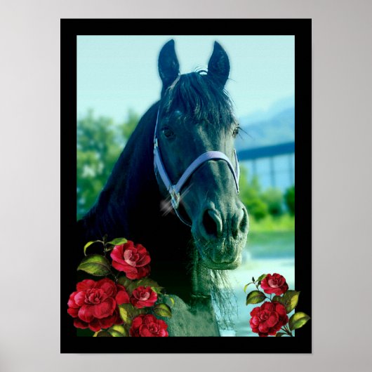 DIAMOND-portret - Poster (Voorkant)