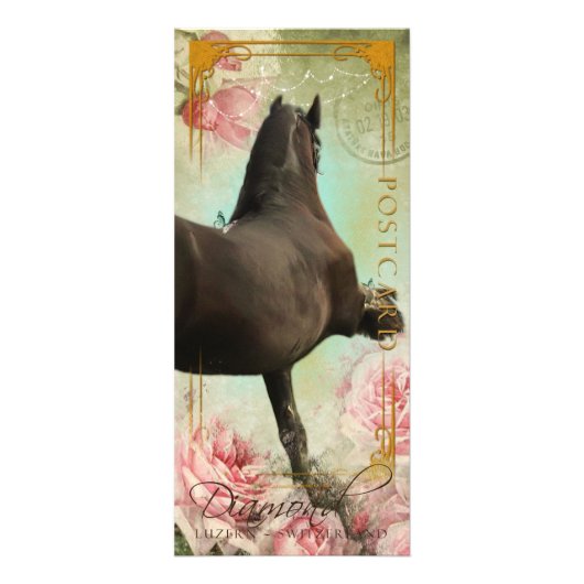 DIAMOND - Rackcard 3 / Briefkaart Reclamekaart (Voorkant)