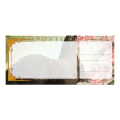 DIAMOND - Rackcard 3 / Briefkaart Reclamekaart (Achterkant)