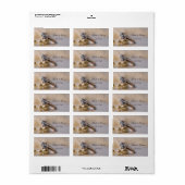 Diamond Ring en Parels Bruiloft Favor Labels (Full Sheet)