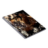 Diamond, roky notitieboek (Rechterzijde)