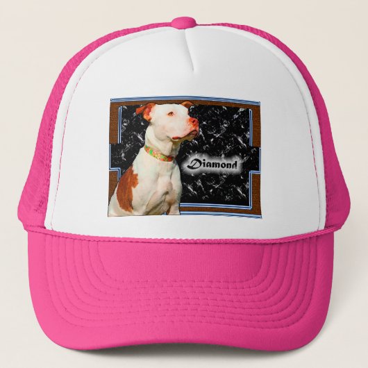 Diamond Trucker Hat Trucker Pet (Voorkant)