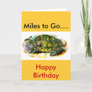 diamondback de Schildpad van de Moerasschildpad Kaart