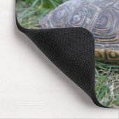 diamondback terrapin schildpad mousepad muismat (Hoek)