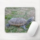 diamondback terrapin schildpad mousepad muismat (Met muis)