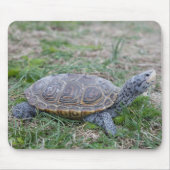diamondback terrapin schildpad mousepad muismat (Voorkant)