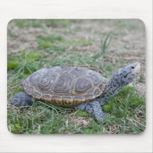 diamondback terrapin schildpad mousepad muismat