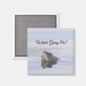 Diamondback Terrapin Turtle Face Magnet (Voorkant / Achterkant)