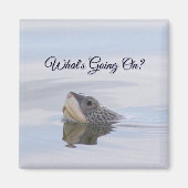 Diamondback Terrapin Turtle Face Magnet (Voorkant)