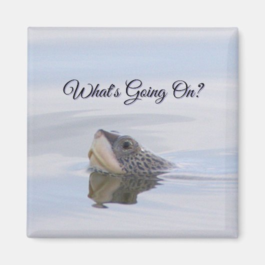 Diamondback Terrapin Turtle Face Magnet (Voorkant)