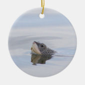 Diamondback Terrapin Turtle Face Ornament  (Voorkant)