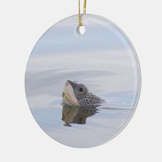 Diamondback Terrapin Turtle Face Ornament  (Links)