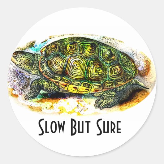 diamondback Terrapin Turtle van JungleWalk.Com Ronde Sticker (Voorkant)