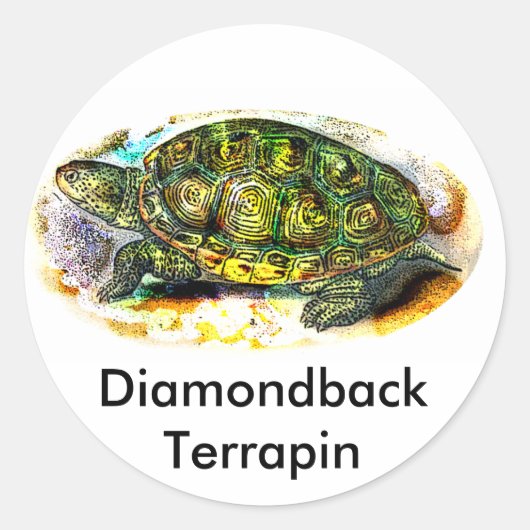 diamondback Terrapin Turtle van JungleWalk.Com Ronde Sticker (Voorkant)