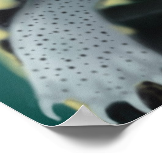 Diamondback Terrapin Turtles Poster (Hoek)