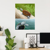 Diamondback Terrapin Turtles Poster (Thuiskantoor)