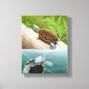 Diamondback Terrapin Turtles Wrapped Canvas Afdruk