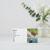 Diamondback Terrapin Visitekaartje (Staand voorkant)