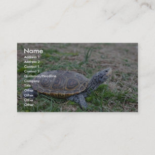 Diamondback Terrapin Visitekaartje