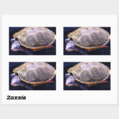 Diamondback Turtle Rechthoekige Sticker (Vel)