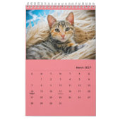 Diamondmarine's Fosters! Kalender (Mar 2027)