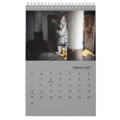 Diamondmarine's Fosters! Kalender (Feb 2027)