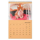 Diamondmarine's Fosters! Kalender (Jan 2027)