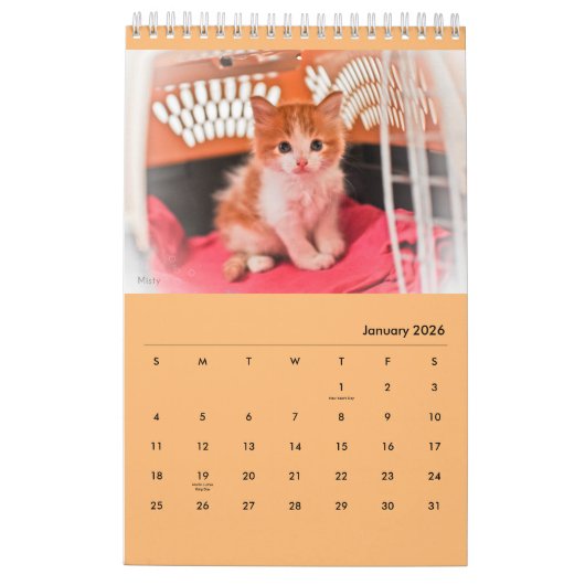 Diamondmarine's Fosters! Kalender (Jan 2026)