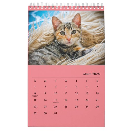 Diamondmarine's Fosters! Kalender (Mar 2026)