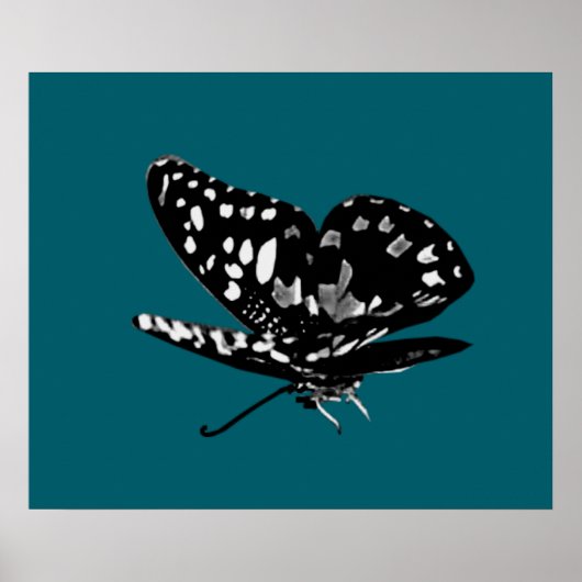 Diamoned Wings Poster (Voorkant)