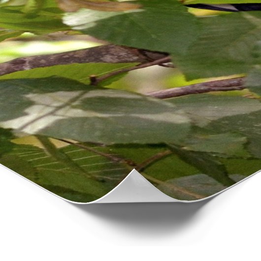 Diana-aap in boom poster (Hoek)