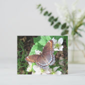 Diana Butterfly ~ briefkaart (Staand voorkant)