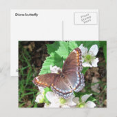 Diana Butterfly ~ briefkaart (Voorkant / Achterkant)