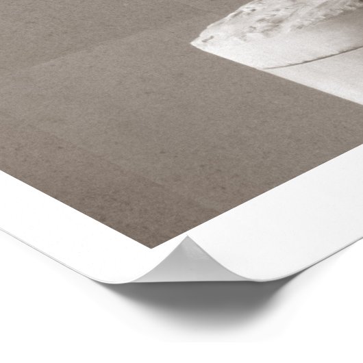 Diana de Huntress, 1780 (marmer) Poster (Hoek)