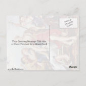 Diana en Nymphen in de ochtend door Peter Paul Rub Briefkaart (Achterkant)