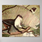 Diana Monkey van Louis Sargent,  Wild Animal Poster (Voorkant)