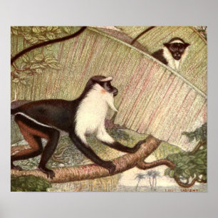 Diana Monkey van Louis Sargent,  Wild Animal Poster