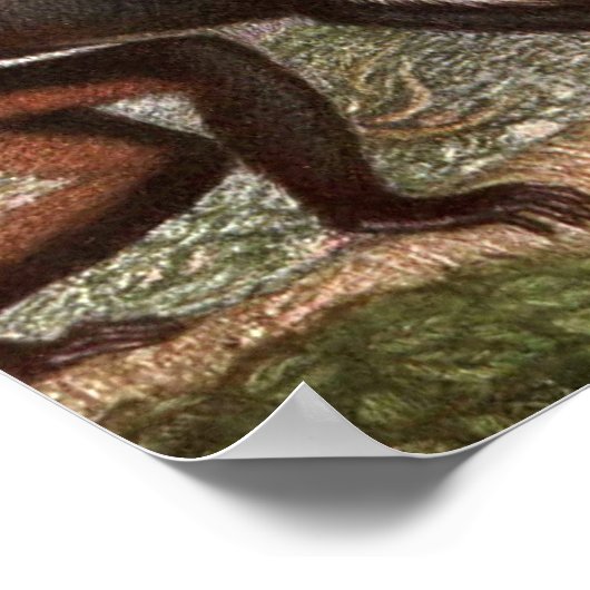 Diana Monkey van Louis Sargent,  Wild Animal Poster (Hoek)