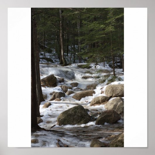 Diana's Baths Poster (Voorkant)