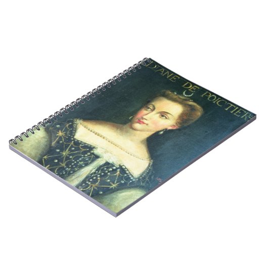 Diane de Poitiers (olie op canvas) Notitieboek (Linkerzijde)